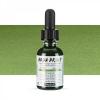AQUA DROP Schmincke 30 ml colore aerografo 570 OLIVE GREEN - VERDE OLIVA